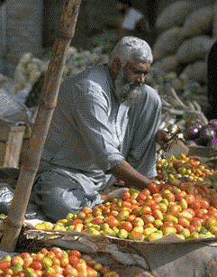 Rawalpindi Bazaar