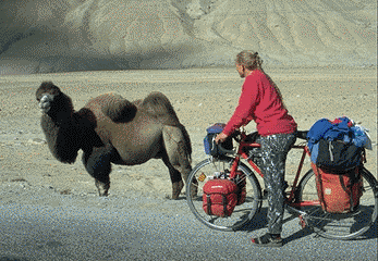 Camel and cyclist